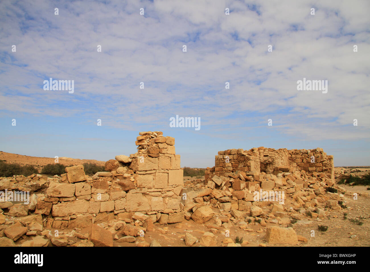 Israel, Halutza in the Negev, site of the ancient Nabatean city Stock Photo