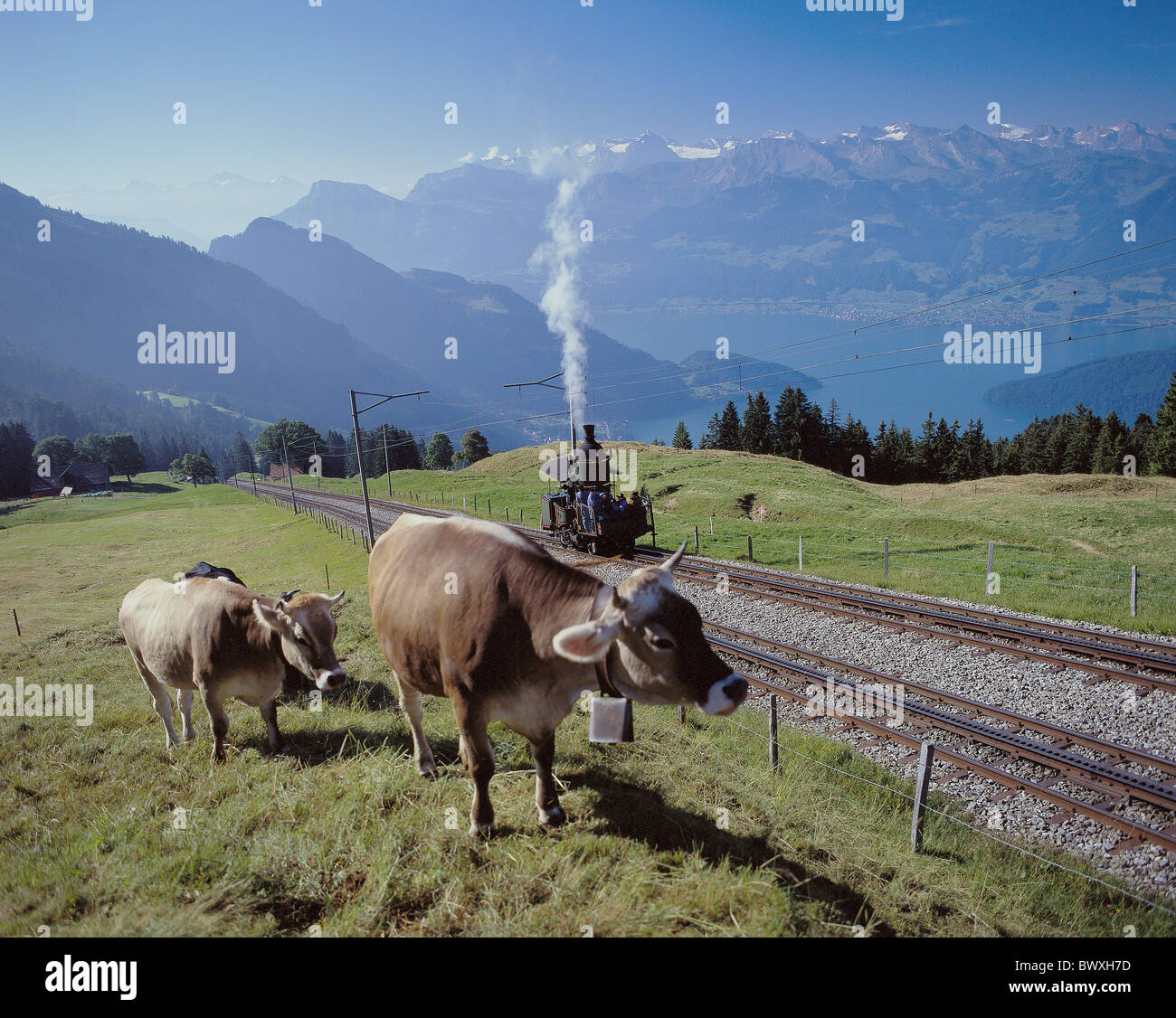 Switzerland Europe railway Rigi historical steam train smoke alp Rigi Staffel overview central Switzerland Stock Photo
