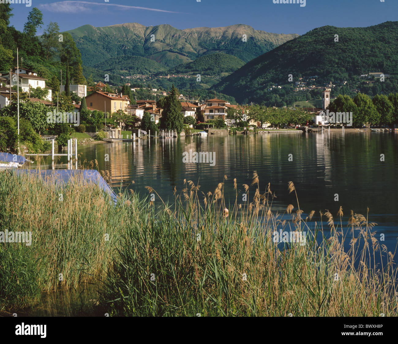 Caslano scenery lake Lugano lake sea Switzerland Europe lake sea Ticino