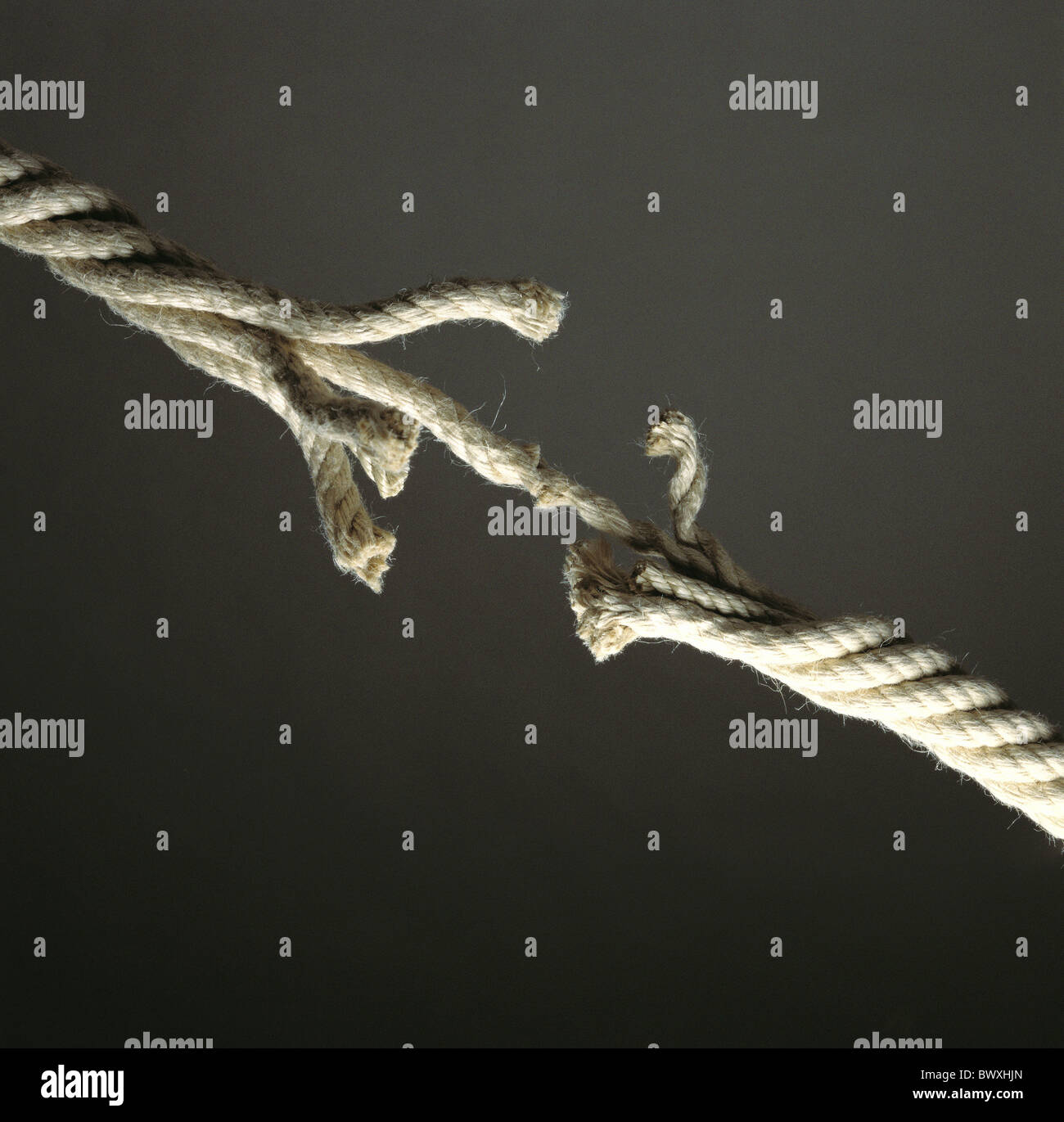 on a thread fathom hanging pendent thread fathom hang tear products ...