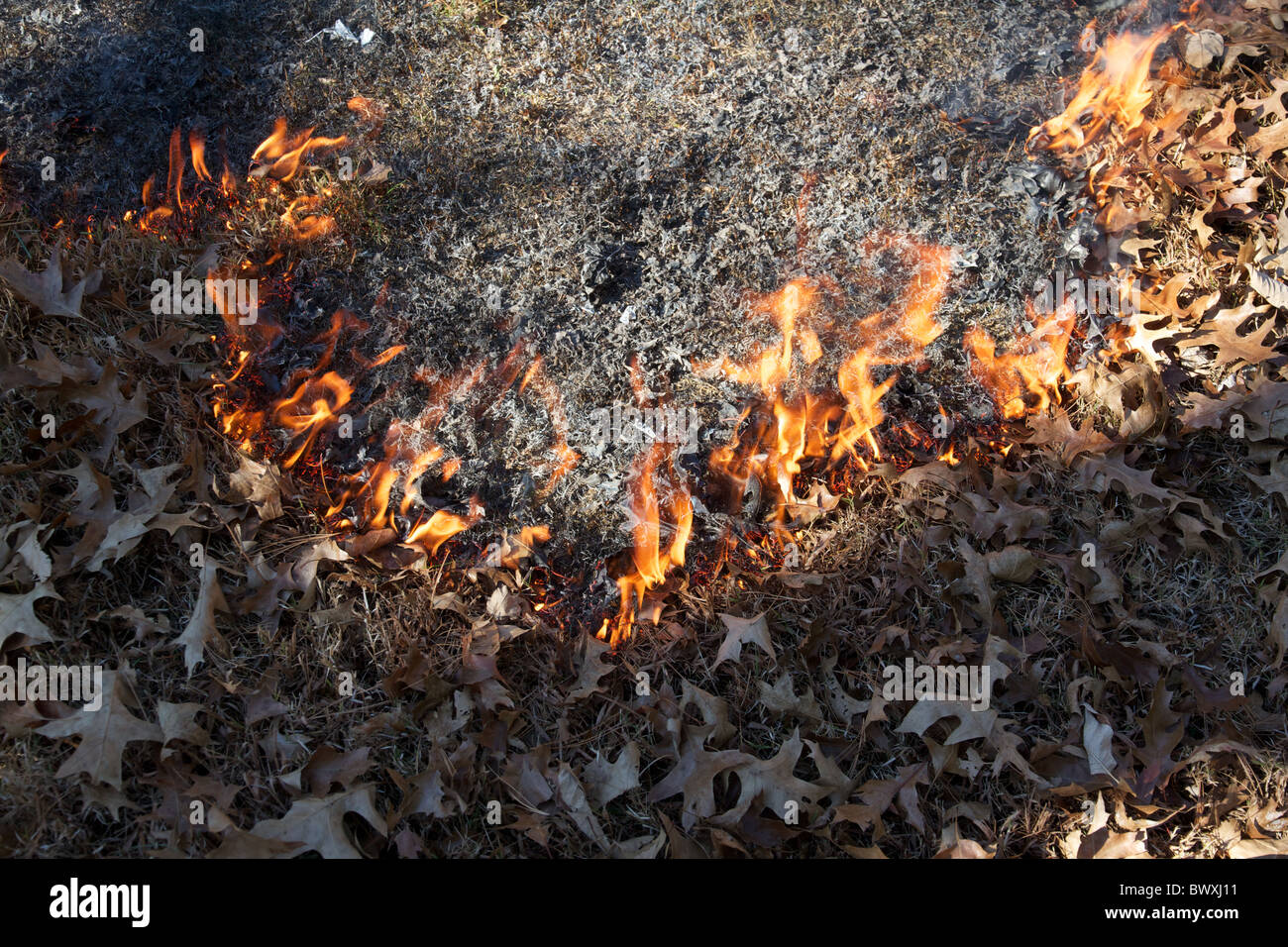 Burning ground (leaves and grass Stock Photo Alamy