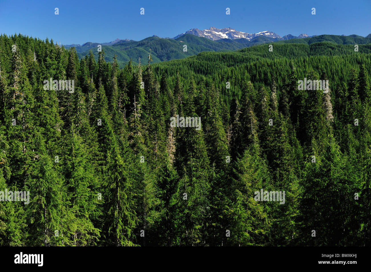 Clearwater river washington hires stock photography and images Alamy
