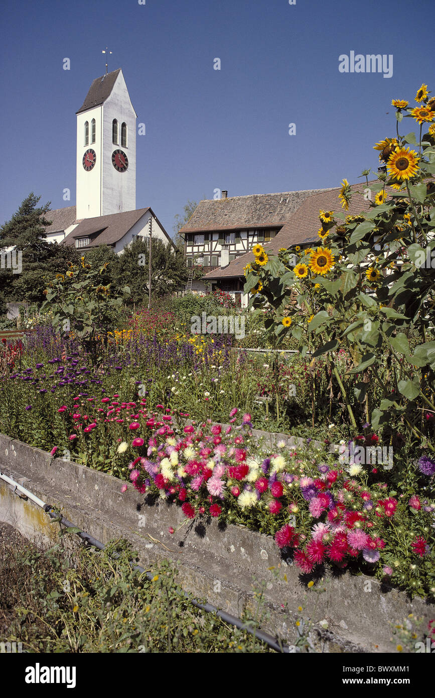 Switzerland Europe canton Zurich wine land village Ossingen church