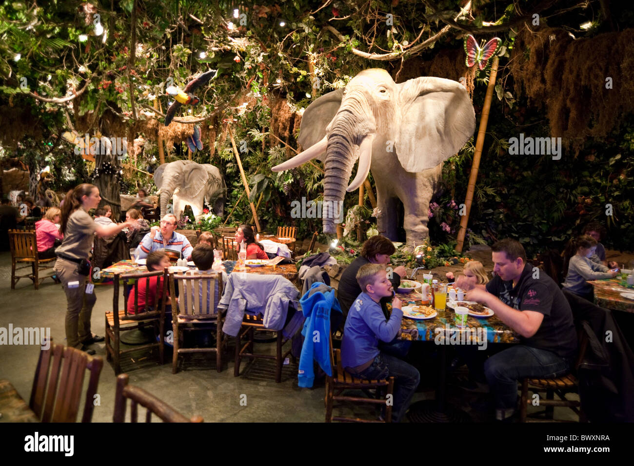 Photos at Rainforest Cafe - 53 tips from 3690 visitors