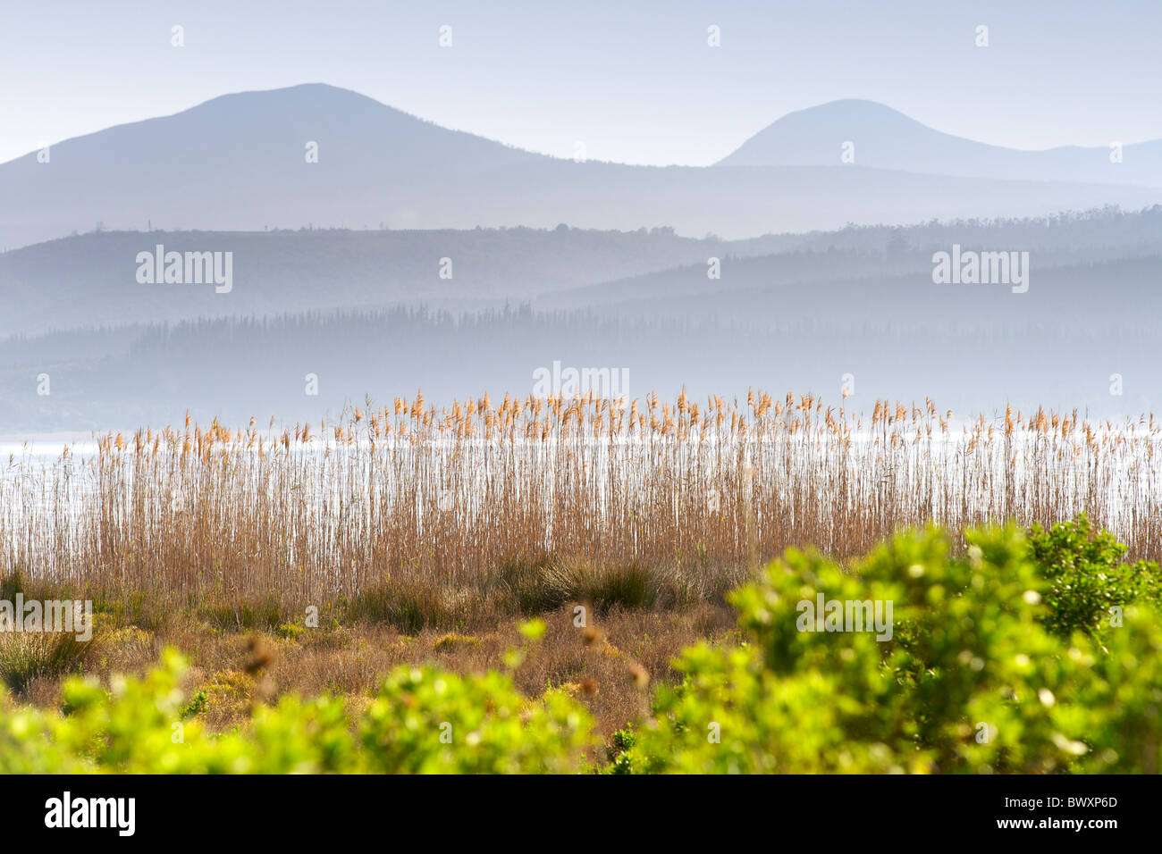 View of Swartvlei and the Outeniqua Mountains along the Garden Route in South Africa's Western Cape Province. Stock Photo