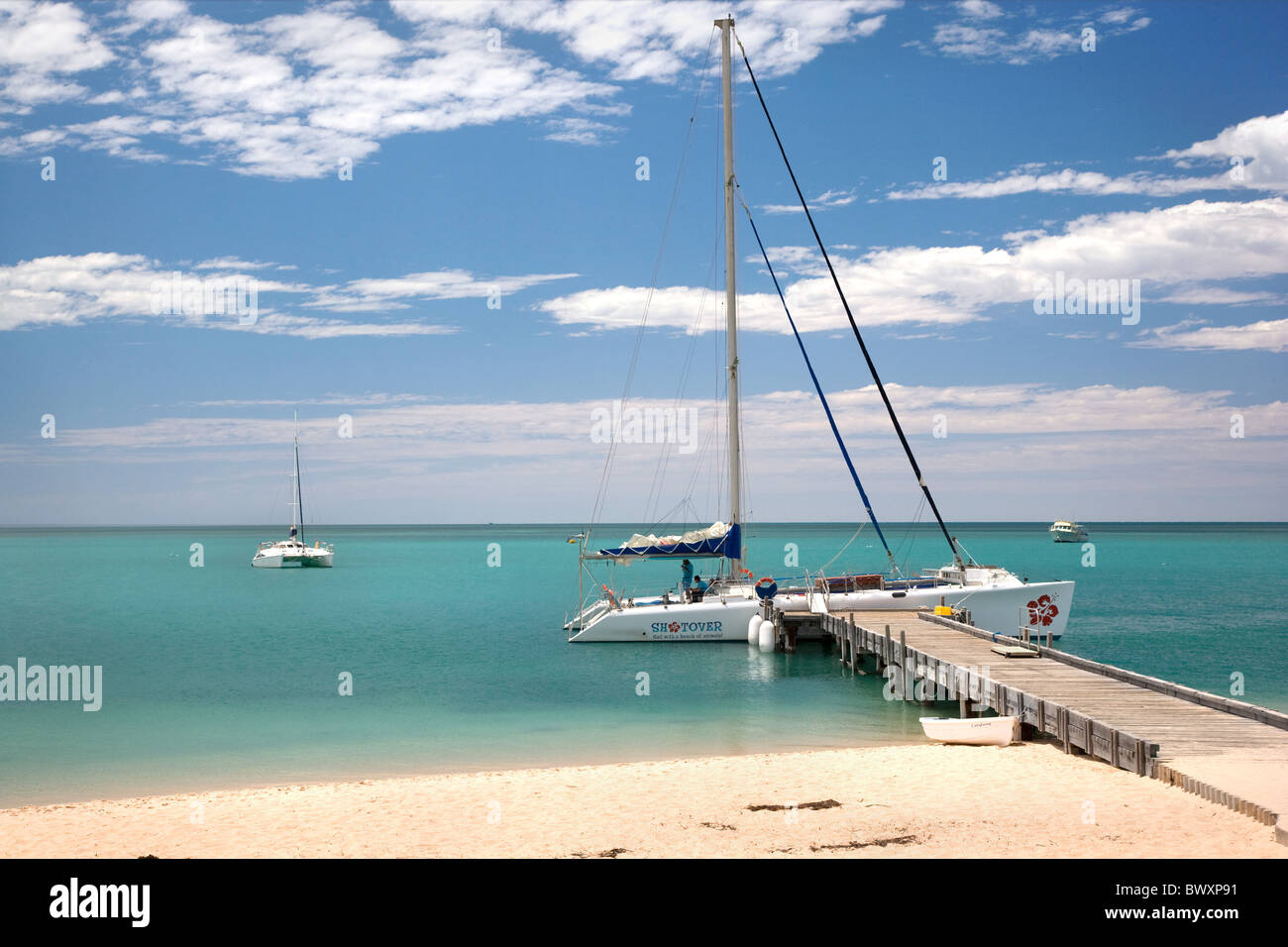 catamaran shark bay