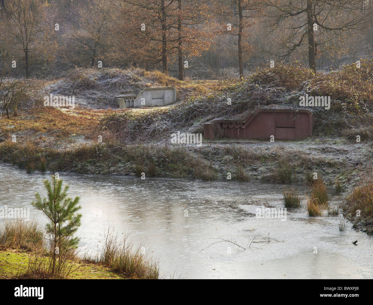 Special man made bat caves in a nature area in Dorst, Noord Brabant, the Netherlands. winter Stock Photo