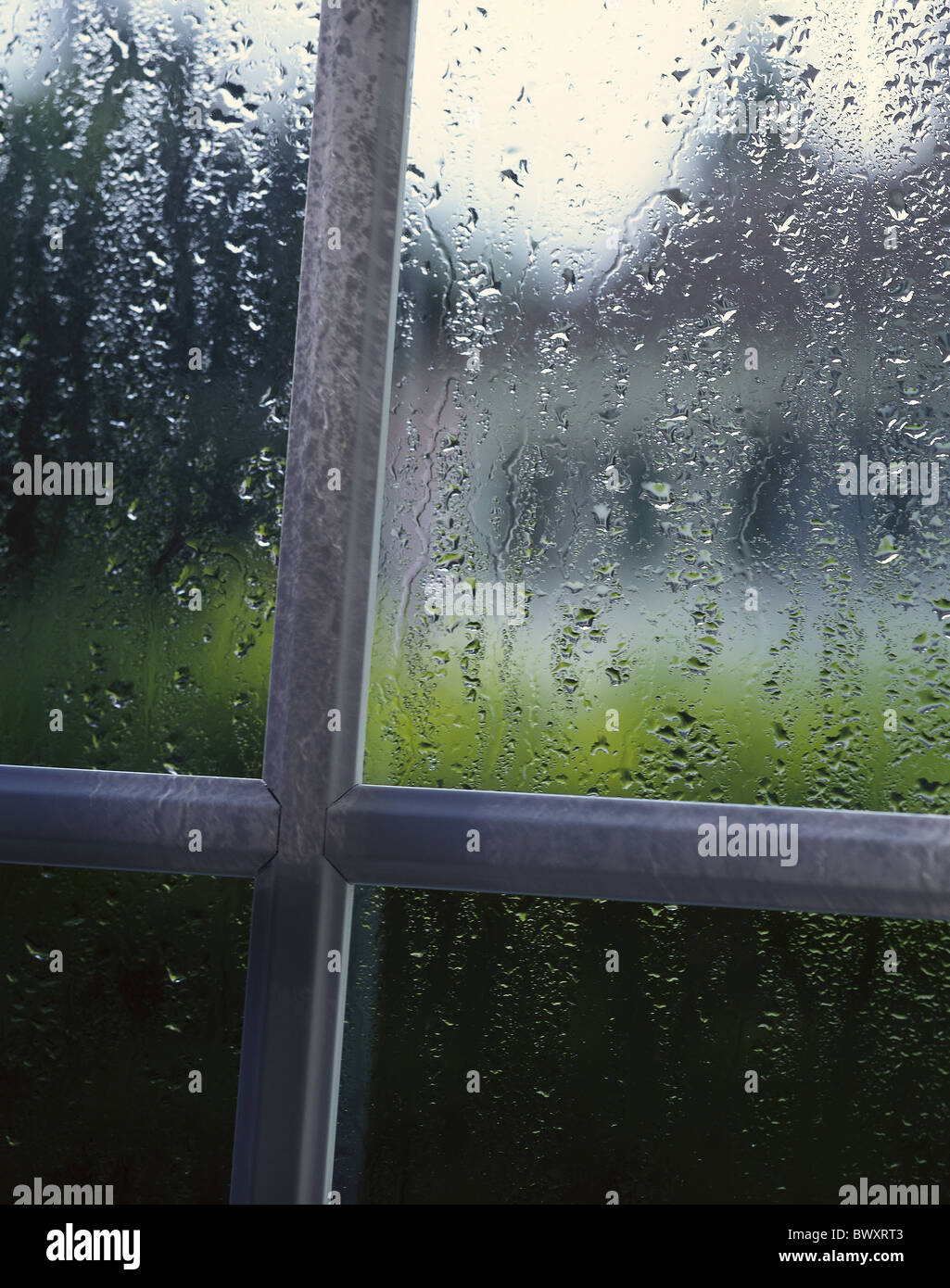 rains window pane drop of water drop disc slice window glass Stock Photo