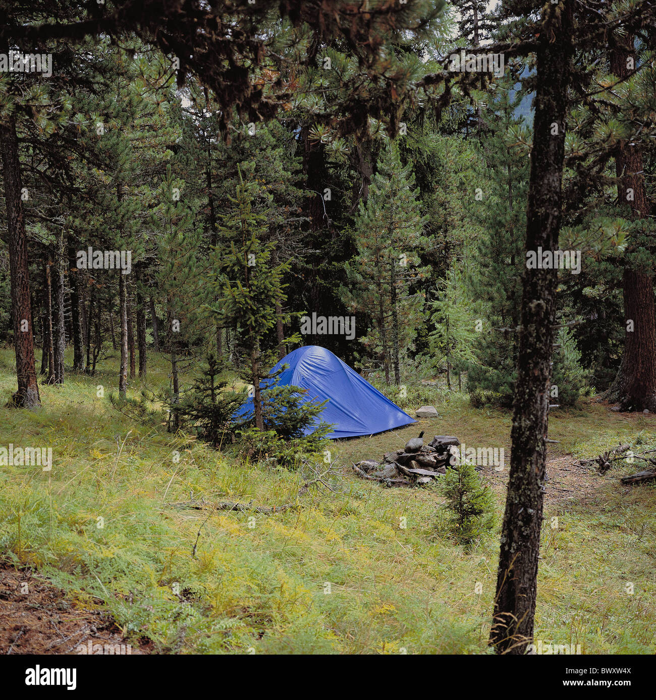 Camping Tent Forest Clearing Switzerland Europe Graubunden Grisons Near Saint Moritz Engadine Stock Photo Alamy