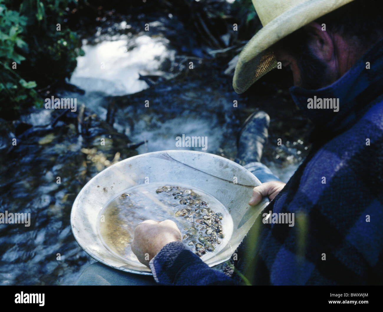 precious metals gold gold panner golden washing man Creek brook Stock