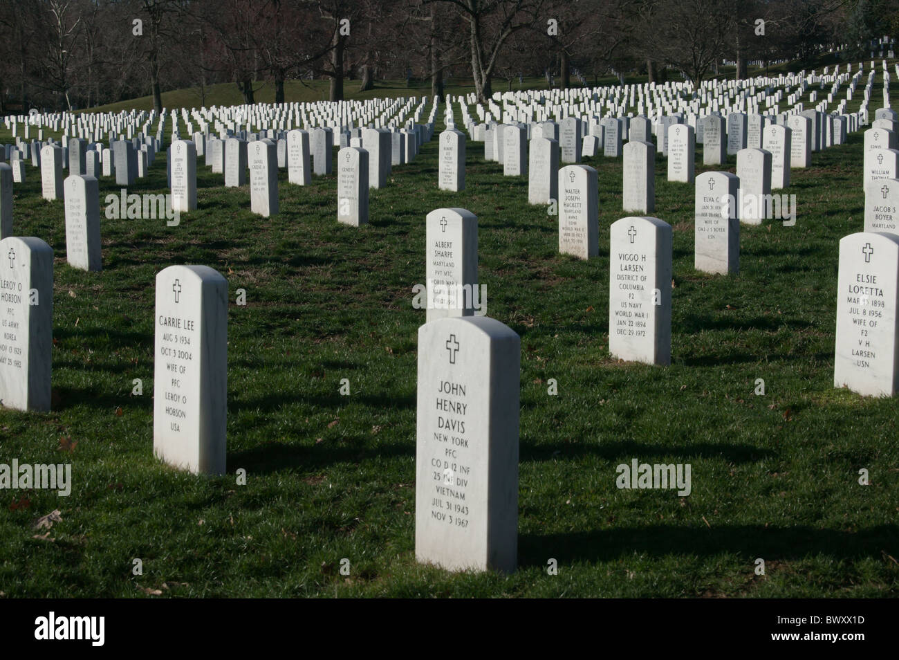 Rows of white grave stones fade into the distance in Arlington National Cemetery in Arlington, Virginia. Stock Photo
