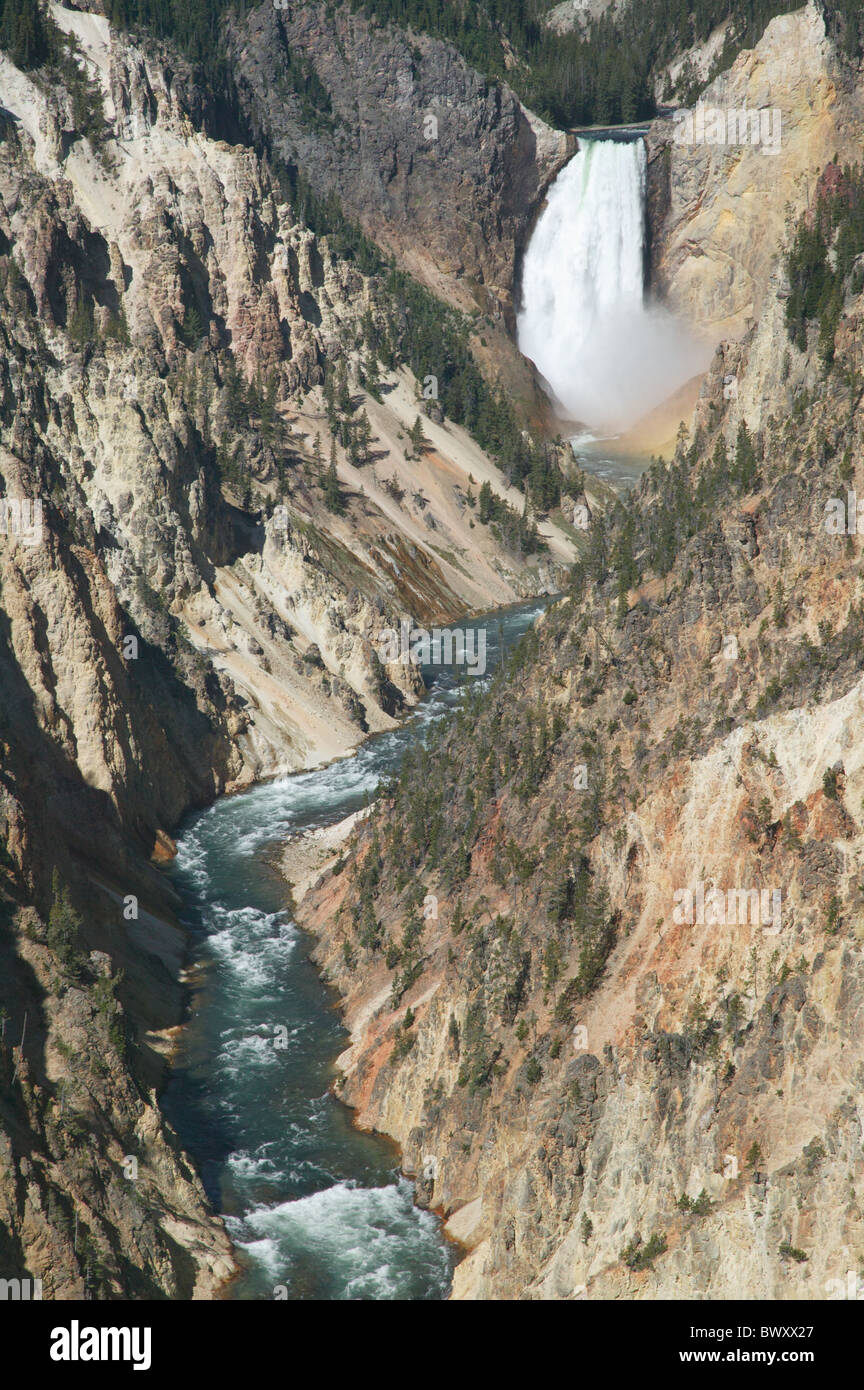 Grand Canyon of the Yellowstone and Lower Falls from Artist Point in Yellowstone National Park. Stock Photo