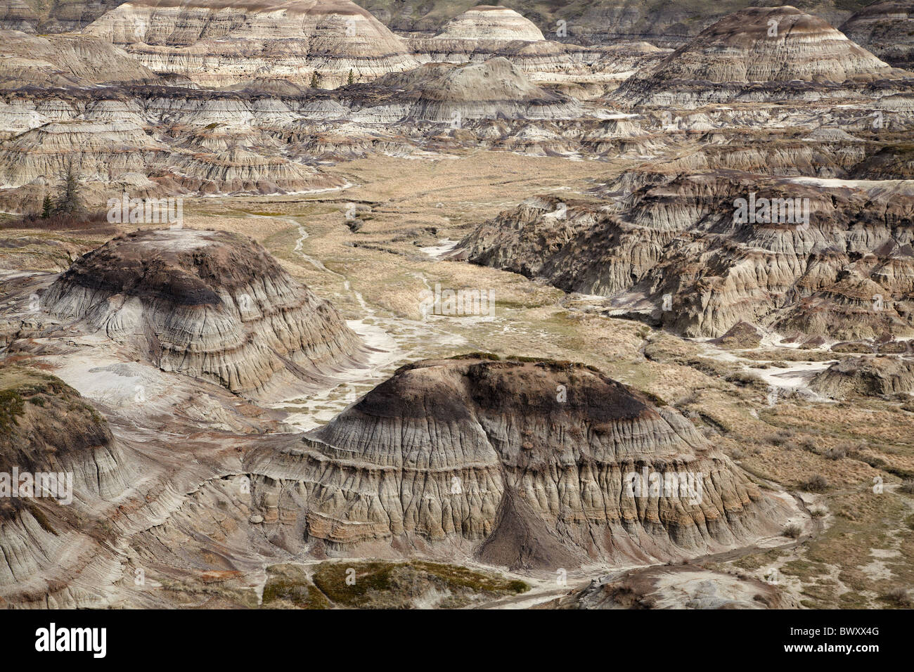 Horseshoe Canyon, near Drumheller, Alberta, Canada Stock Photo Alamy
