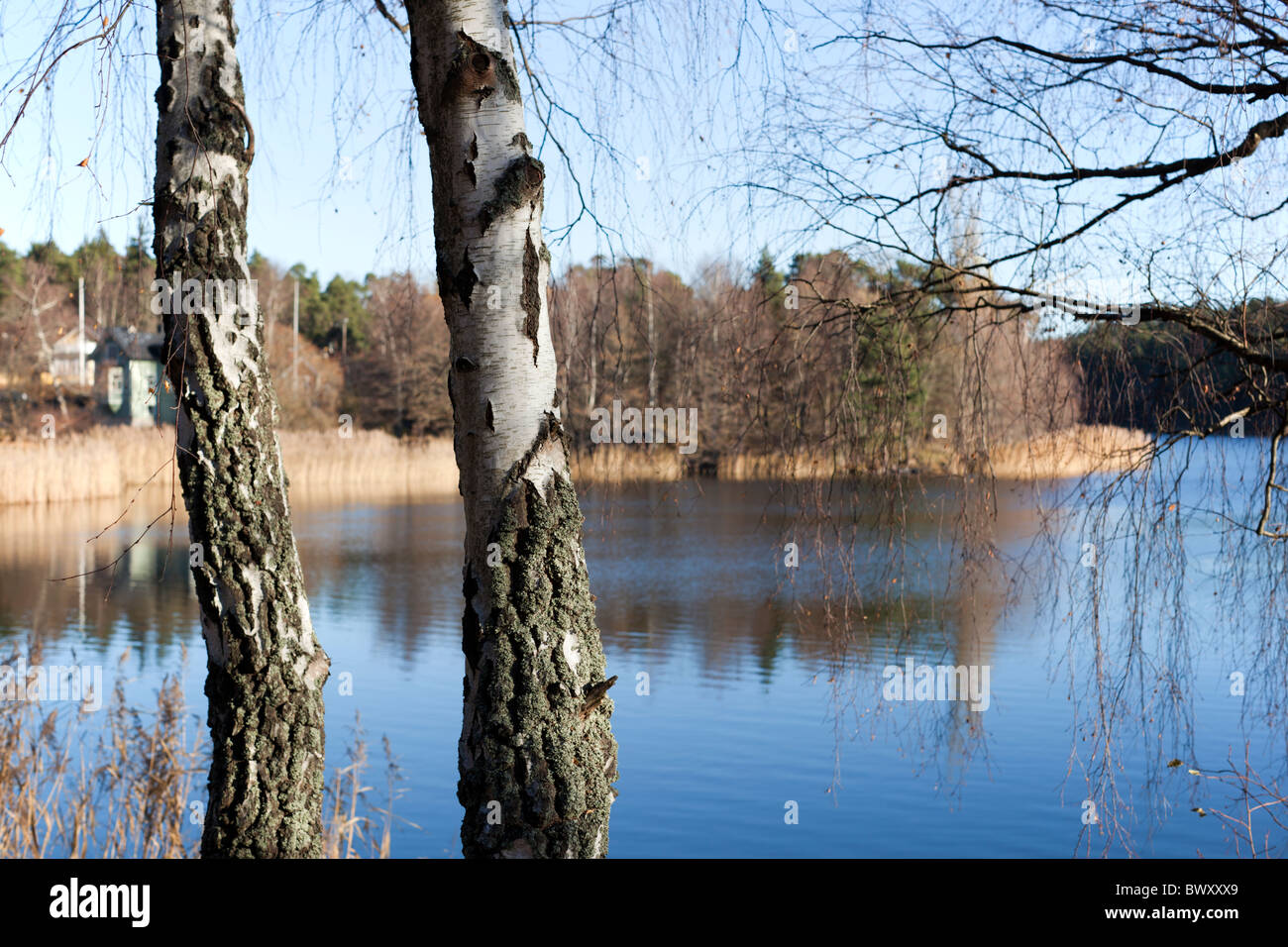 Kottlasjön, Lidingö (Sweden) Stock Photo