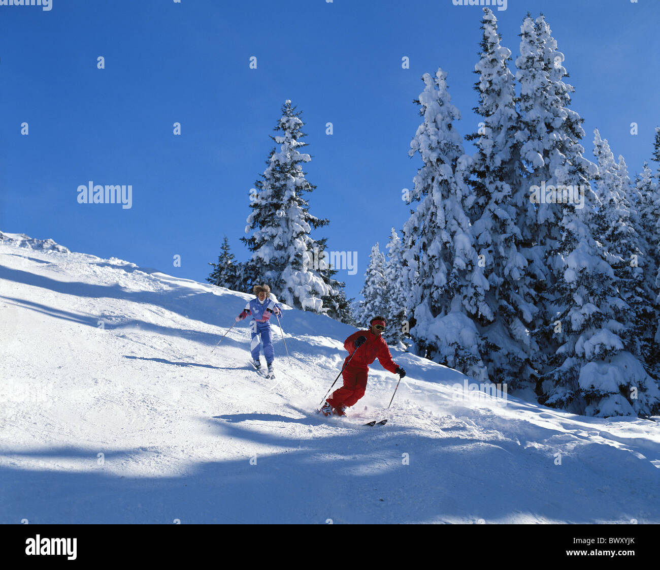 skiing forest firebreak winter two group Two ski winter sports sport Stock Photo