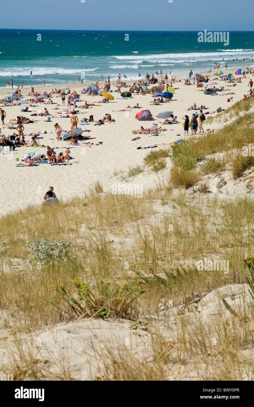 Crowds sunbathing on the Biscarrosse beach in Aquitaine, France. Stock Photo