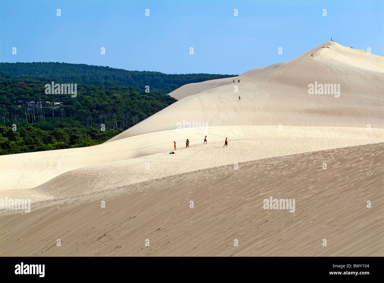 Tourists walking over The Great Dune of Pyla with the Landes forest visible in the background, France. Stock Photo