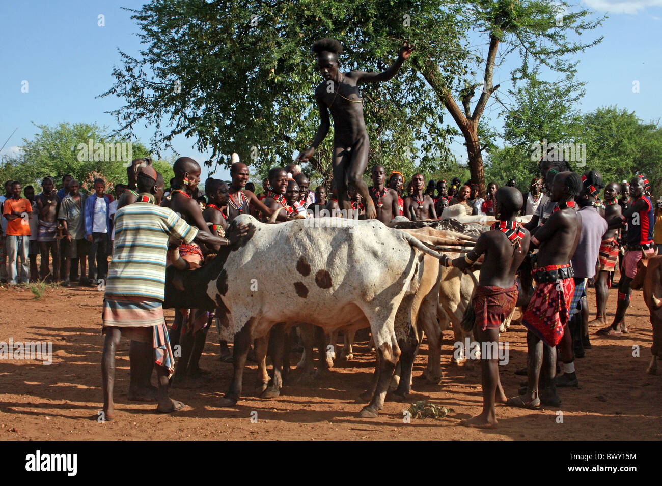 Hamer Tribesman Bull-jumping Ceremony, Omo Valley, Ethiopia Stock Photo