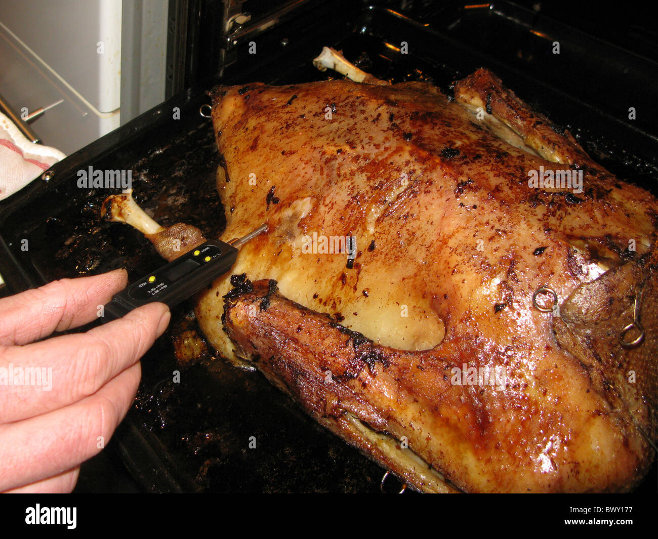 Gans fleisch hi-res stock photography and images - Alamy