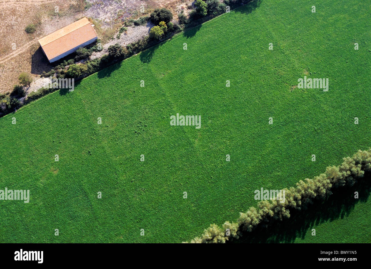 Field, aerial view - Field surrounded by trees Stock Photo