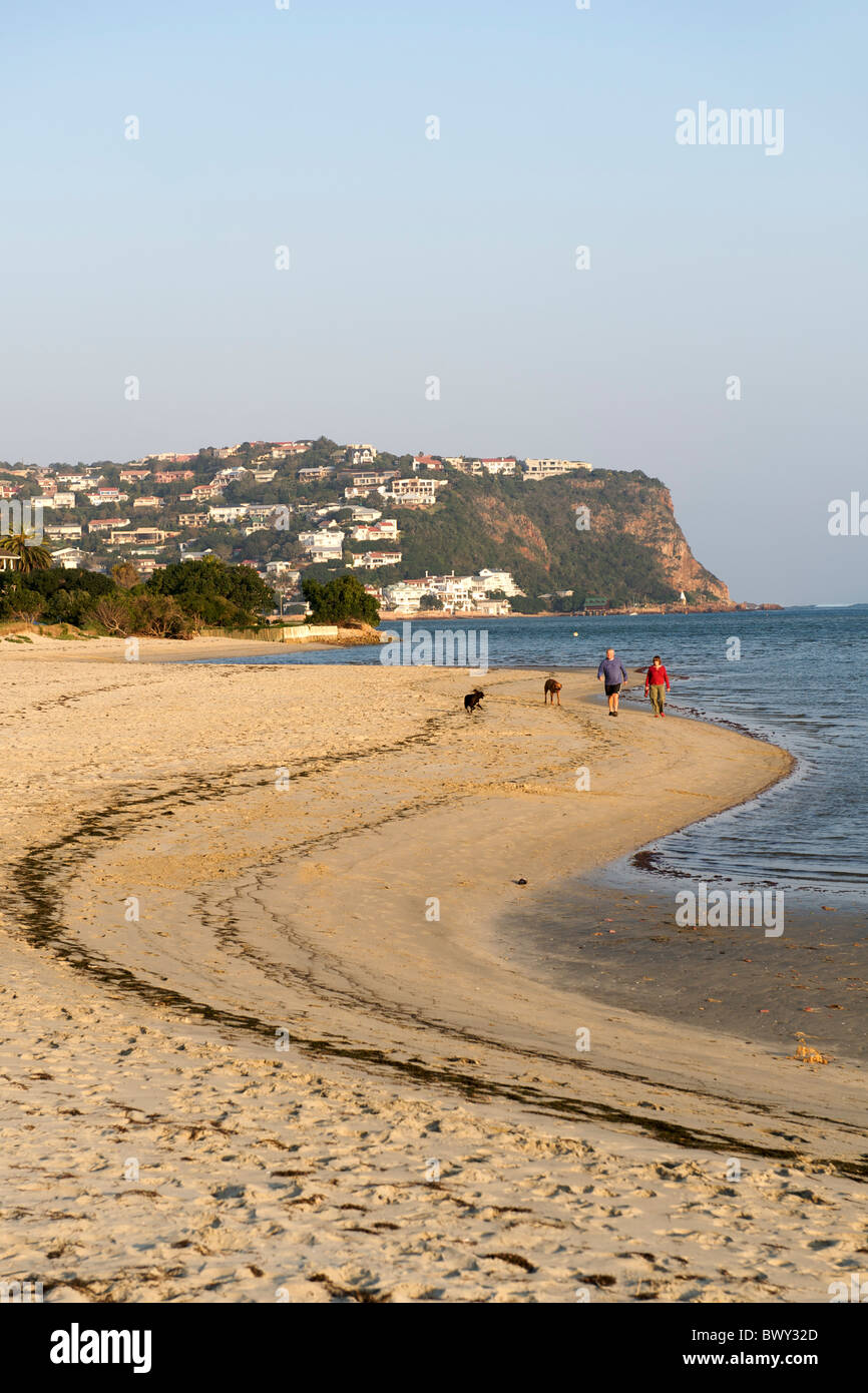 Couple walking their dogs along the beach of Leisure Isle in Knysna on the Garden Route in South Africa. Stock Photo
