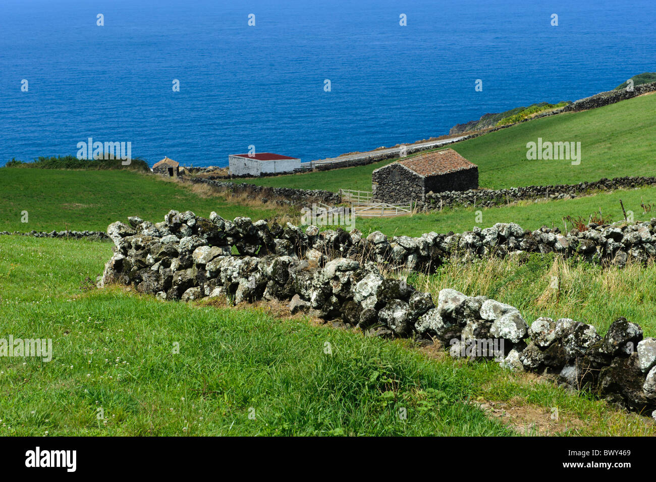 Fields near Serreta, Isle of Terceira, Azores Stock Photo