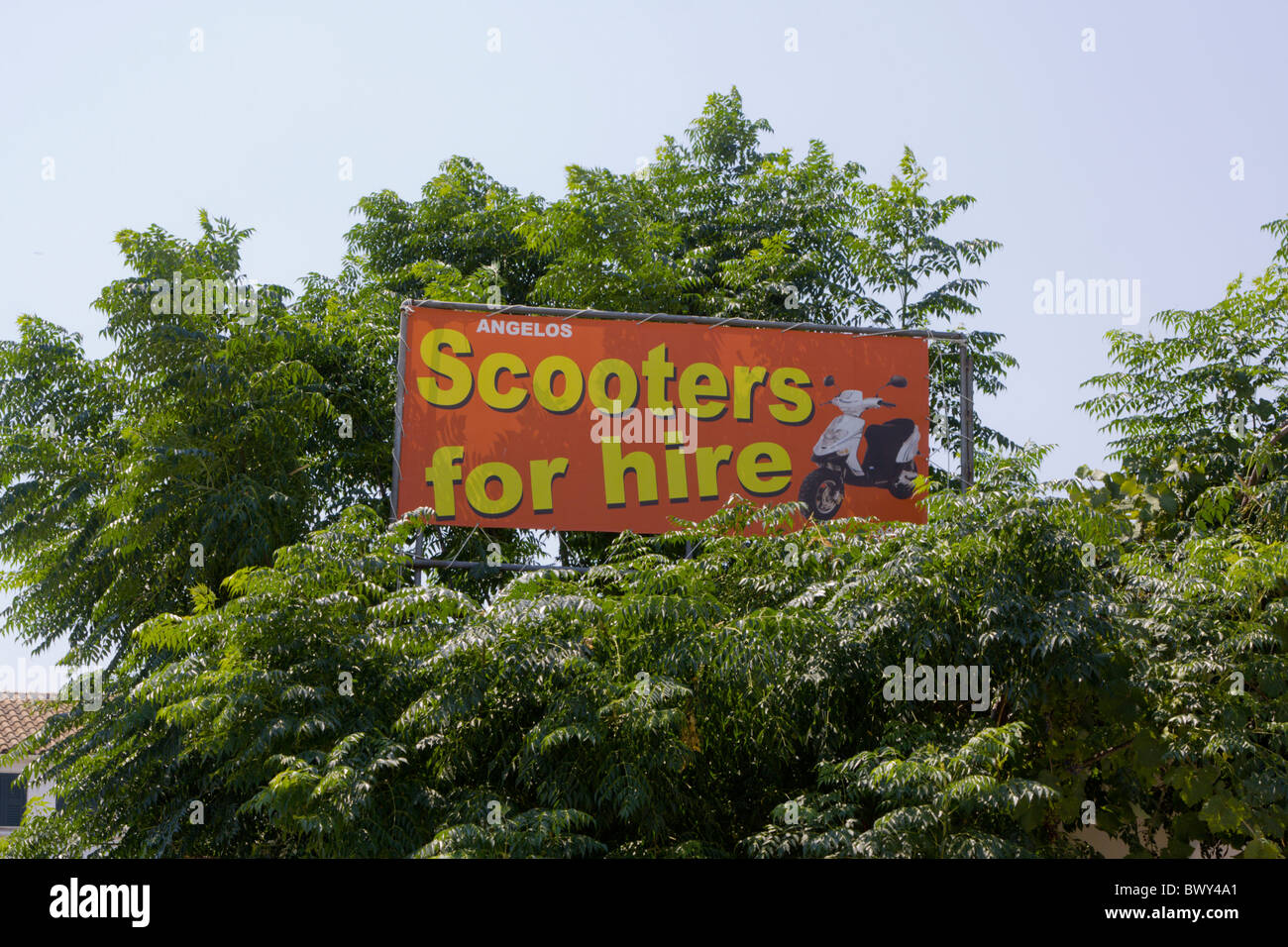 Scooters for Hire sign in tree in Corfu Greece Stock Photo