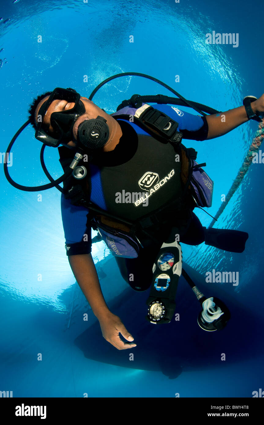 Diver on safety stop Stock Photo Alamy