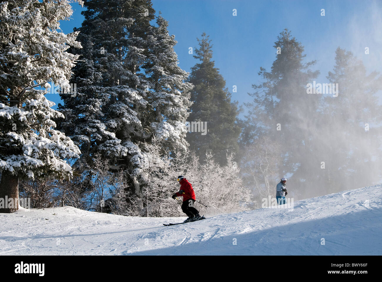 Downhill Skiers on School Hill Run Snow Basin Ski Resort Utah USA ...
