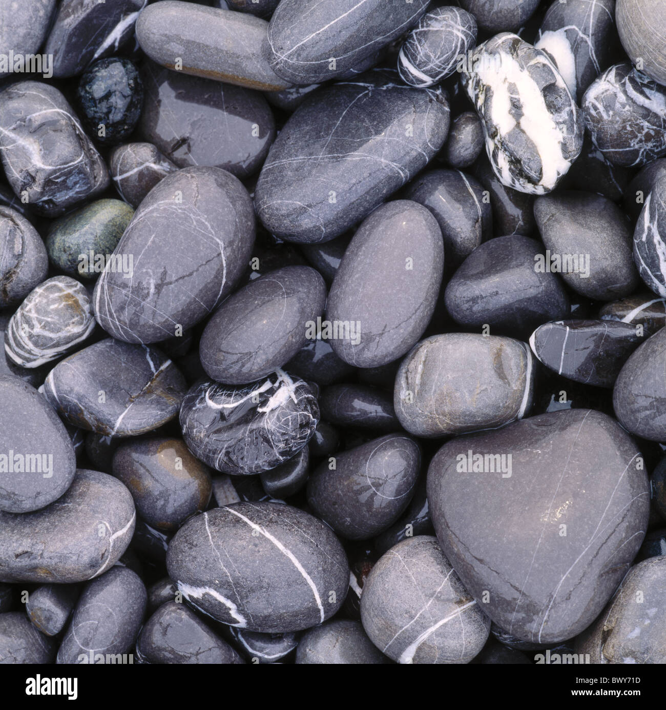 pattern figured brilliant gray wet stones passed away stones structure background Stock Photo