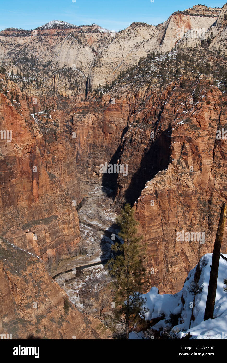North Fork Virgin River from West Rim Trail Zion National Park Utah USA
