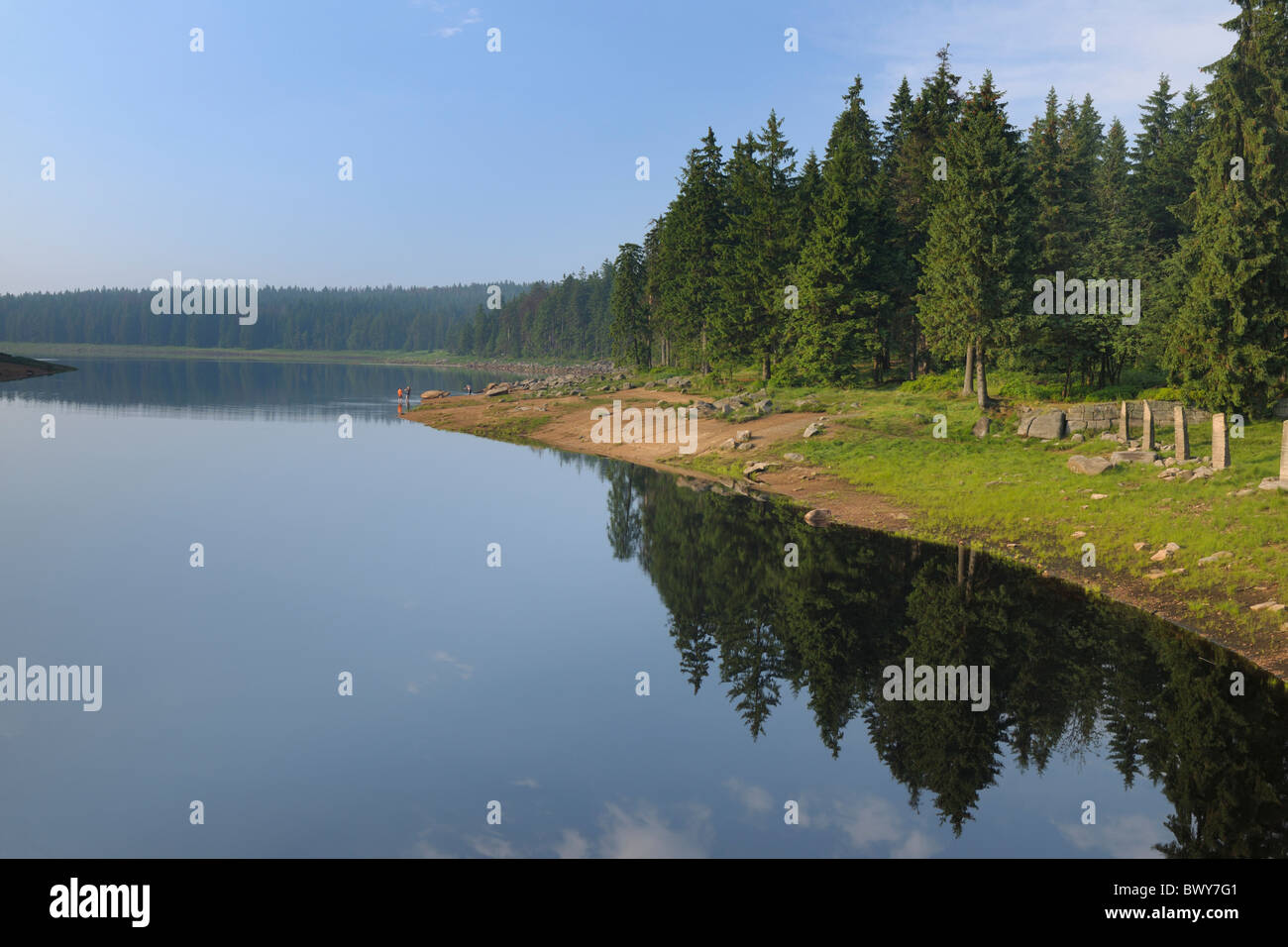 Lake in harz national park hi-res stock photography and images - Alamy