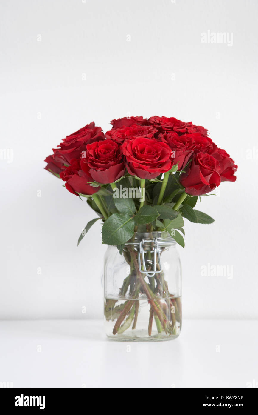Vase of Red Roses Stock Photo Alamy