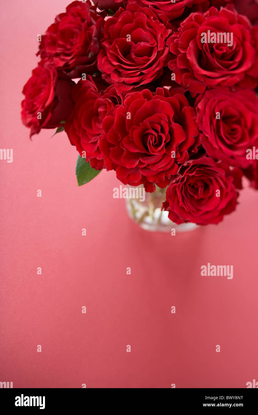 Vase of Red Roses Stock Photo Alamy