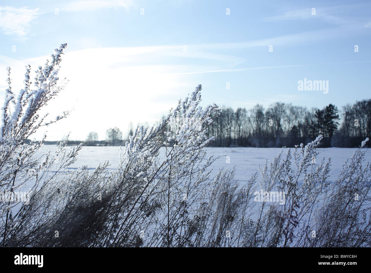 Day sun bright sunny winter hi-res stock photography and images - Alamy