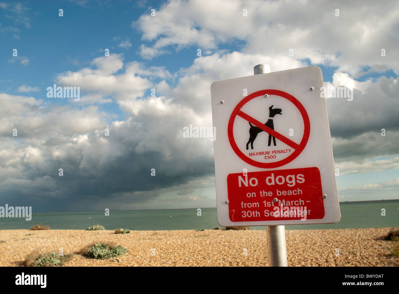 Dog poo notice hi-res stock photography and images - Alamy