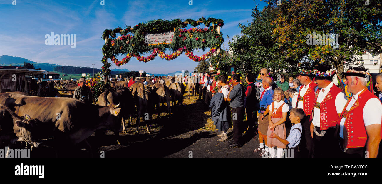 cattle market Switzerland Europe Appenzell stone farmers national costumes gate garlands cows panorama trad Stock Photo