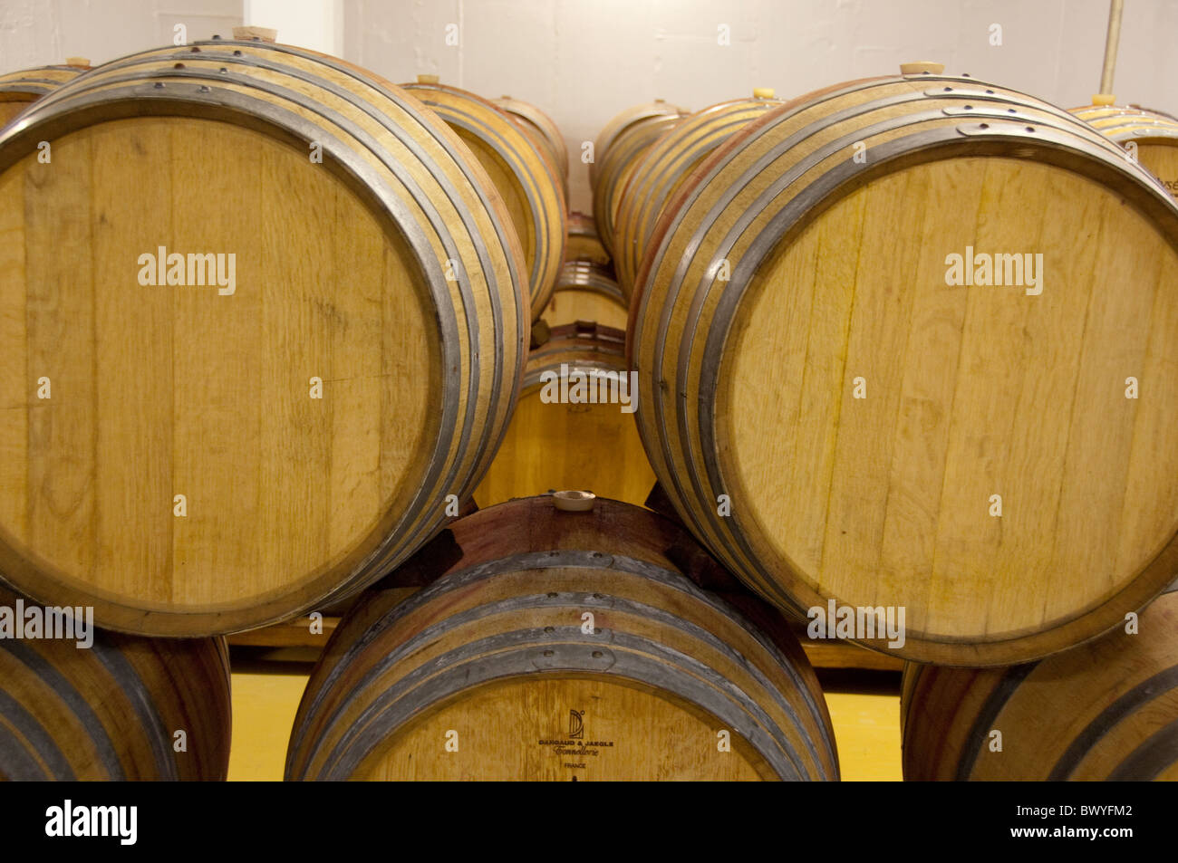South Africa, Cape Town. Stellenbosch wine area, Zevenwacht Winery