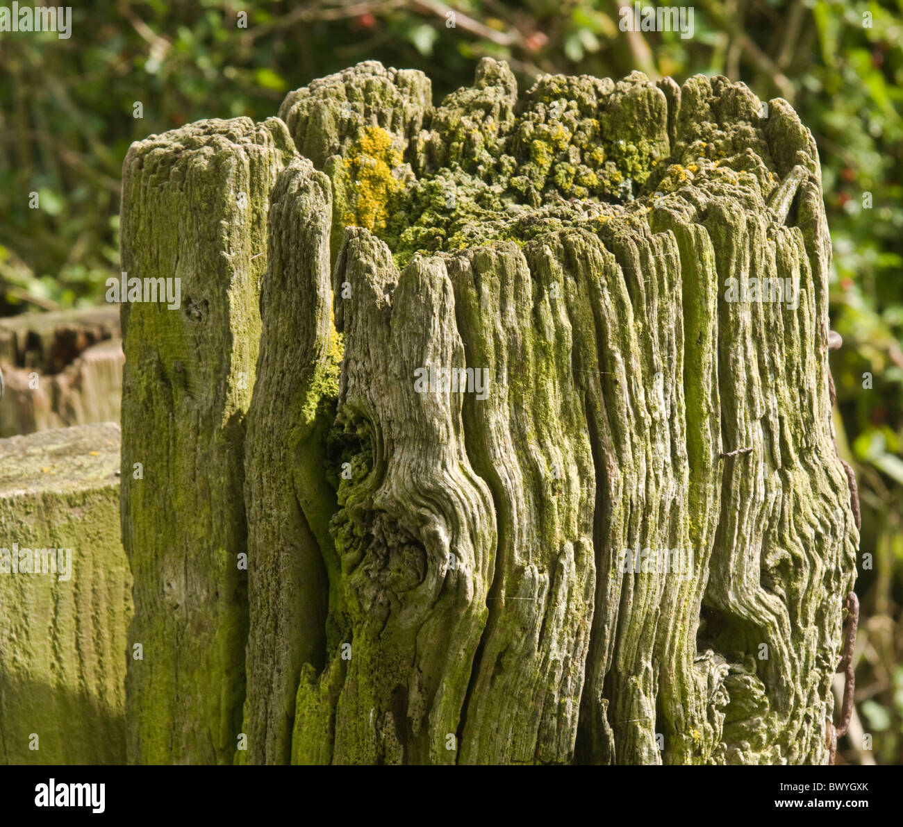 Weathered textures hi-res stock photography and images - Alamy