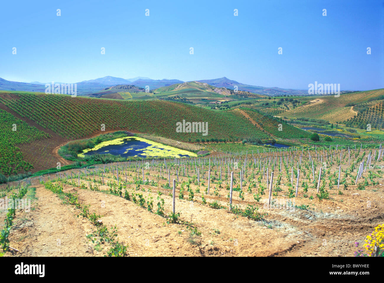 irrigation hill Italy Europe scenery agriculture Sicily pond pond wine