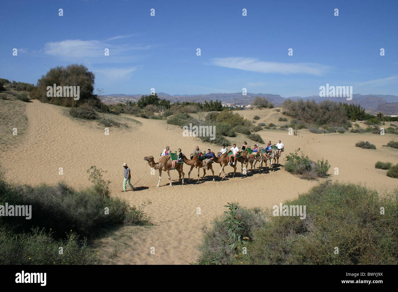 Leaders of europe hi-res stock photography and images - Alamy