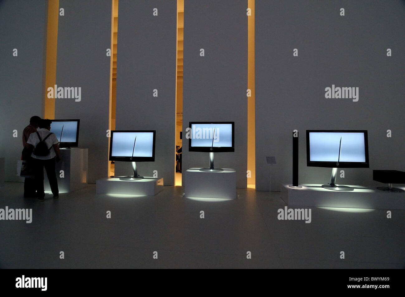 Loewe hot sale tv 2008