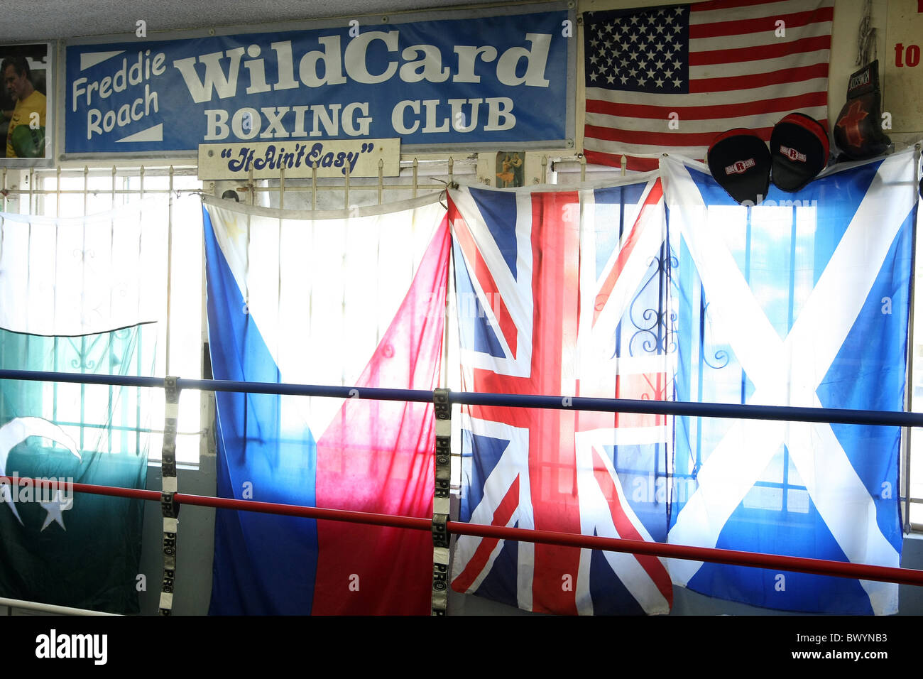 Wild card boxing hi-res stock photography and images photo