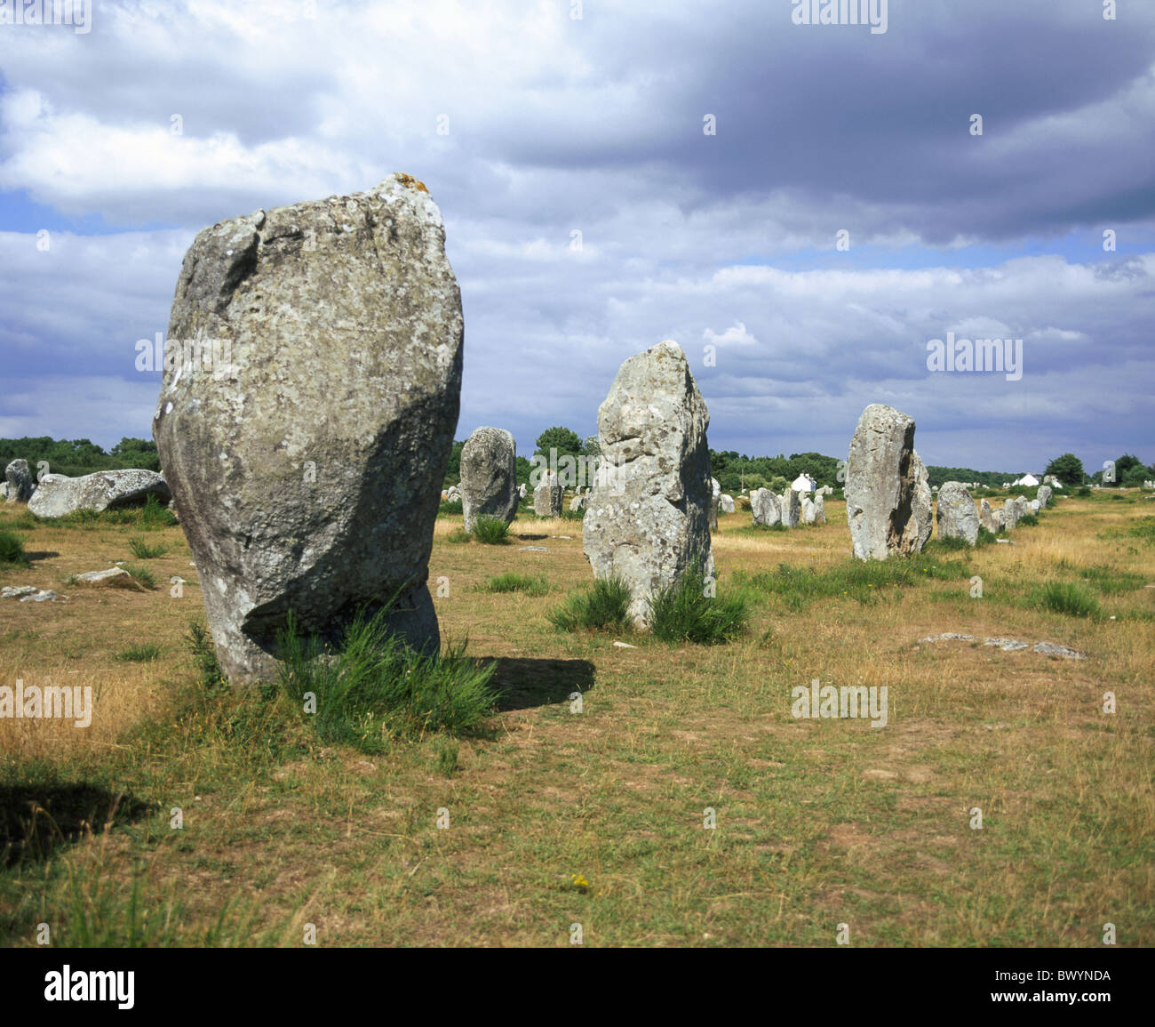 Menhir Rocks Alignements du Menec Brittany Carnac rock cliff France Europe ...