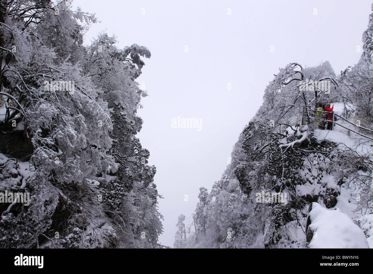 Magnificent Mount Emei in winter, Leshan, Emeishan, Sichuan Province, China Stock Photo