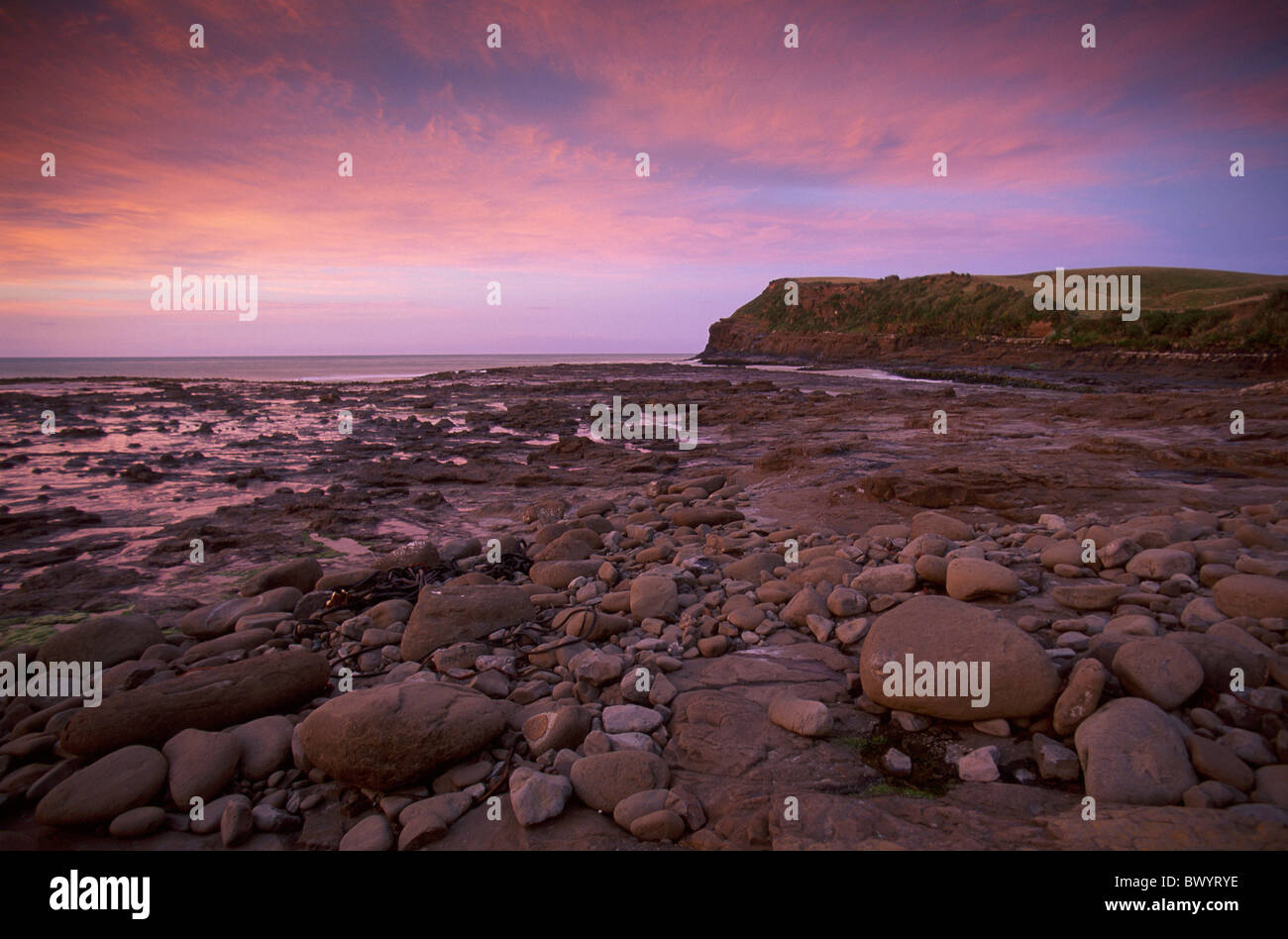 coast Curio Bay dusk mood New Zealand Petrified Forest rock scenery ...