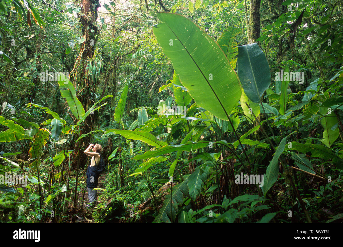 binoculars Cloud Forest Reserva Santa Helena Costa Rica Central America