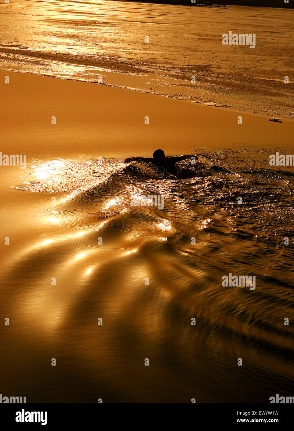 Man swiming in the Houhai Lake at sunset, Beijing, China Stock Photo