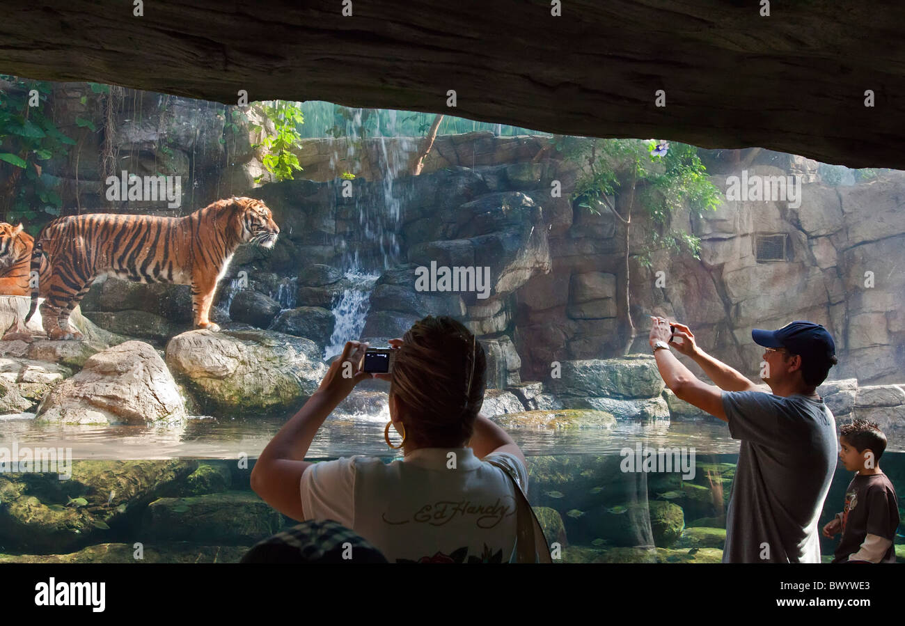 Downtown aquarium denver hires stock photography and images Alamy