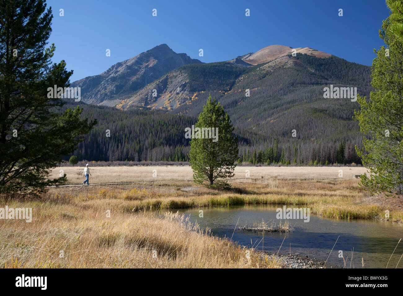 Woman walking on rocky pathway hi-res stock photography and images - Alamy
